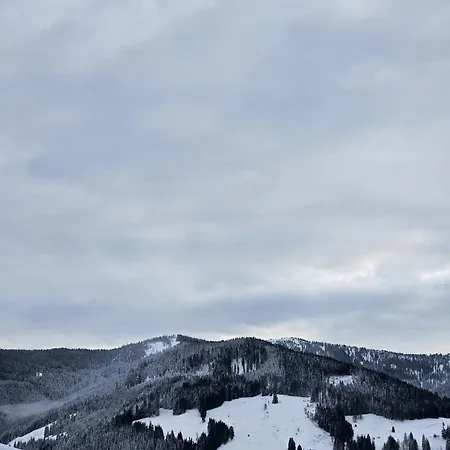 Nyaraló Birnberg Leogang