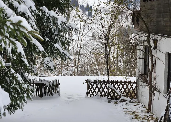 Birnberg Леоганг