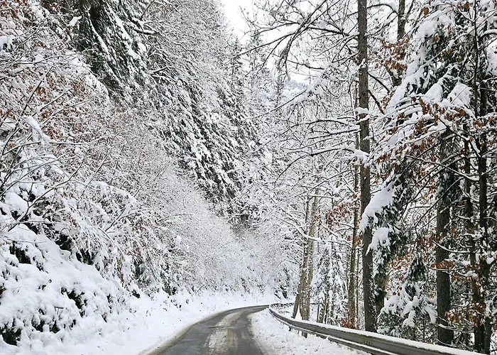 Birnberg Дом отдыха