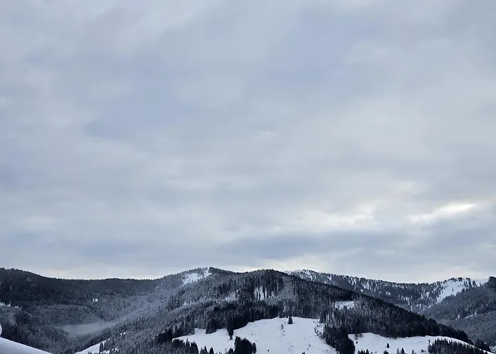 Дом отдыха Birnberg Леоганг